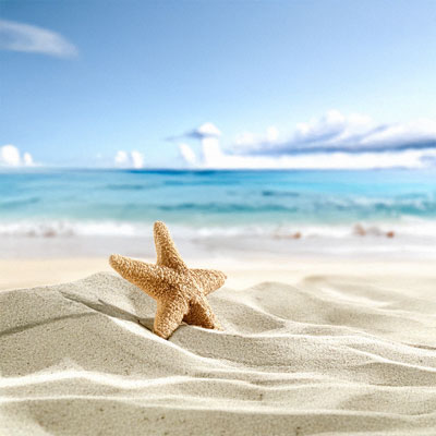 Beach with starfish in the sand