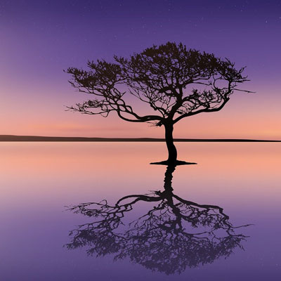 Tree with reflection on water and colorful background